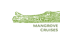 Mangrove Fishing Cruises - North Queensland, Australia
