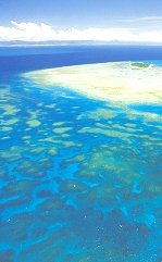 Great Barrier Reef Fishing