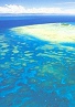 Great Barrier Reef Fishing Tours