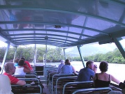 Cape Tribulation Mangrove cruise